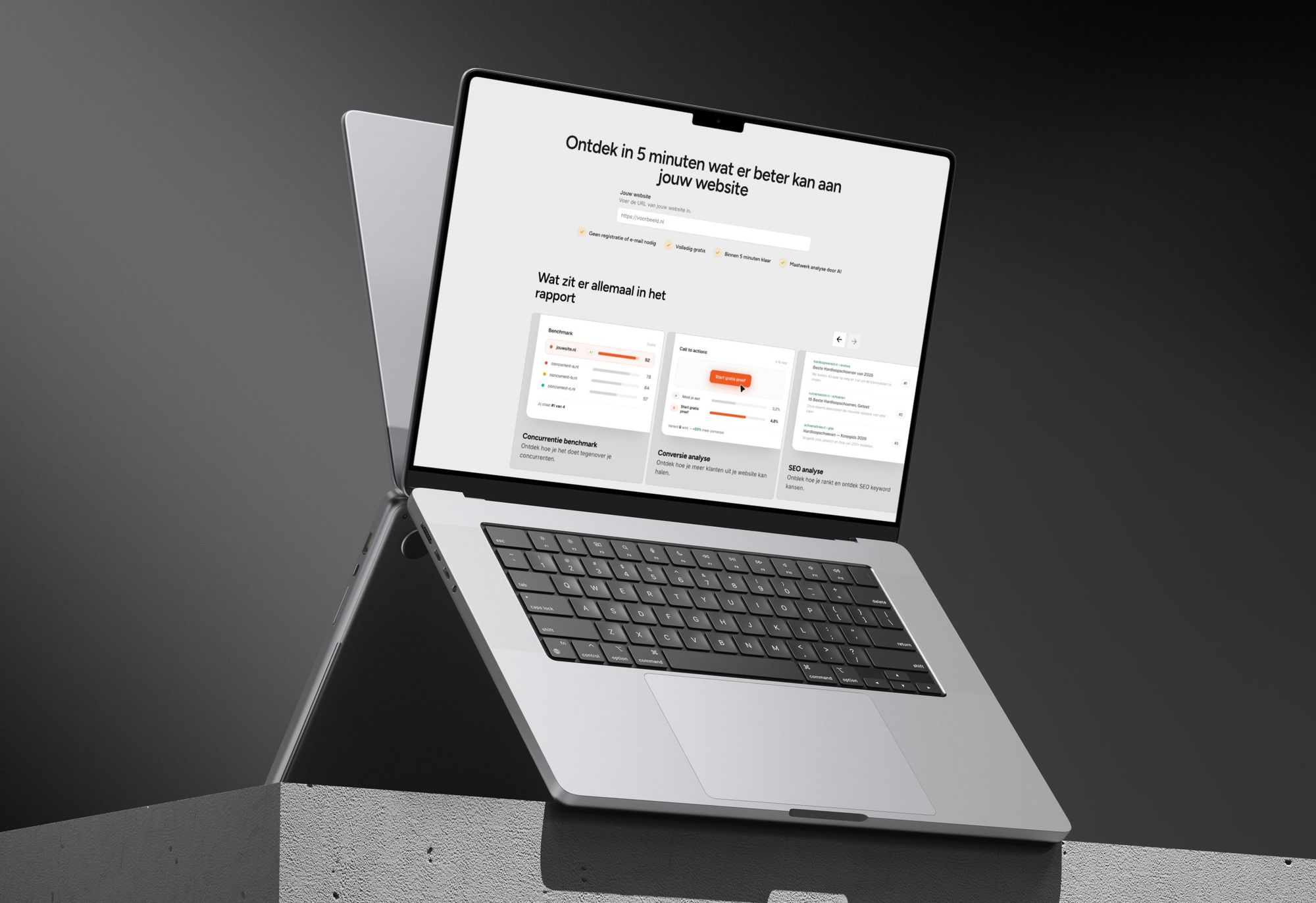 Website Audit